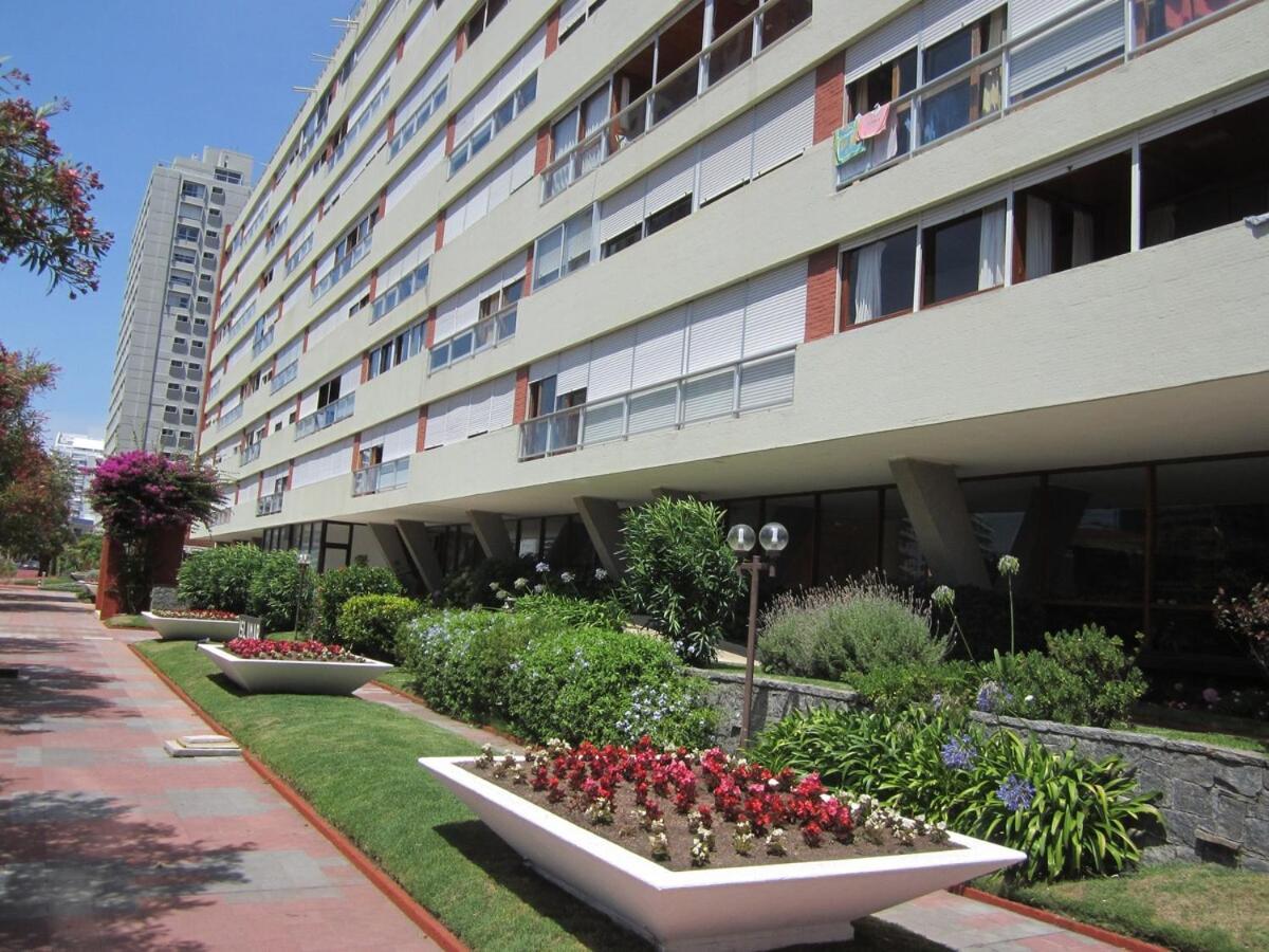 100 Meters Away From Playa Brava *